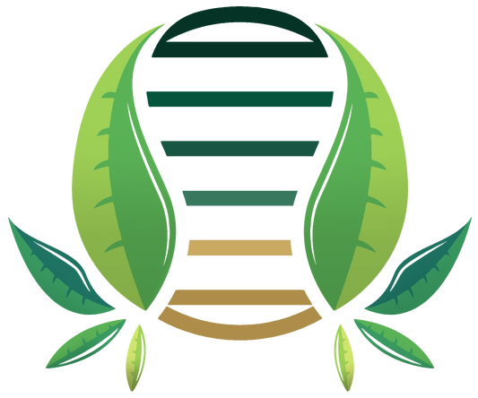 Headband