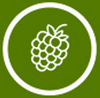 Berry