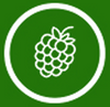 Berry