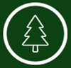 Pine